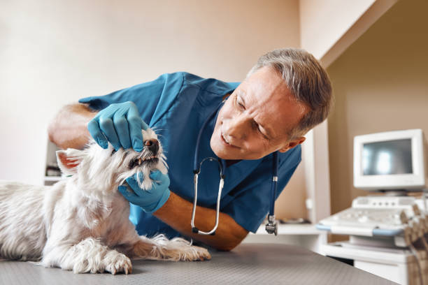 Best Emergency Treatment for Jaw Pain or Injury in North Brooksville, FL